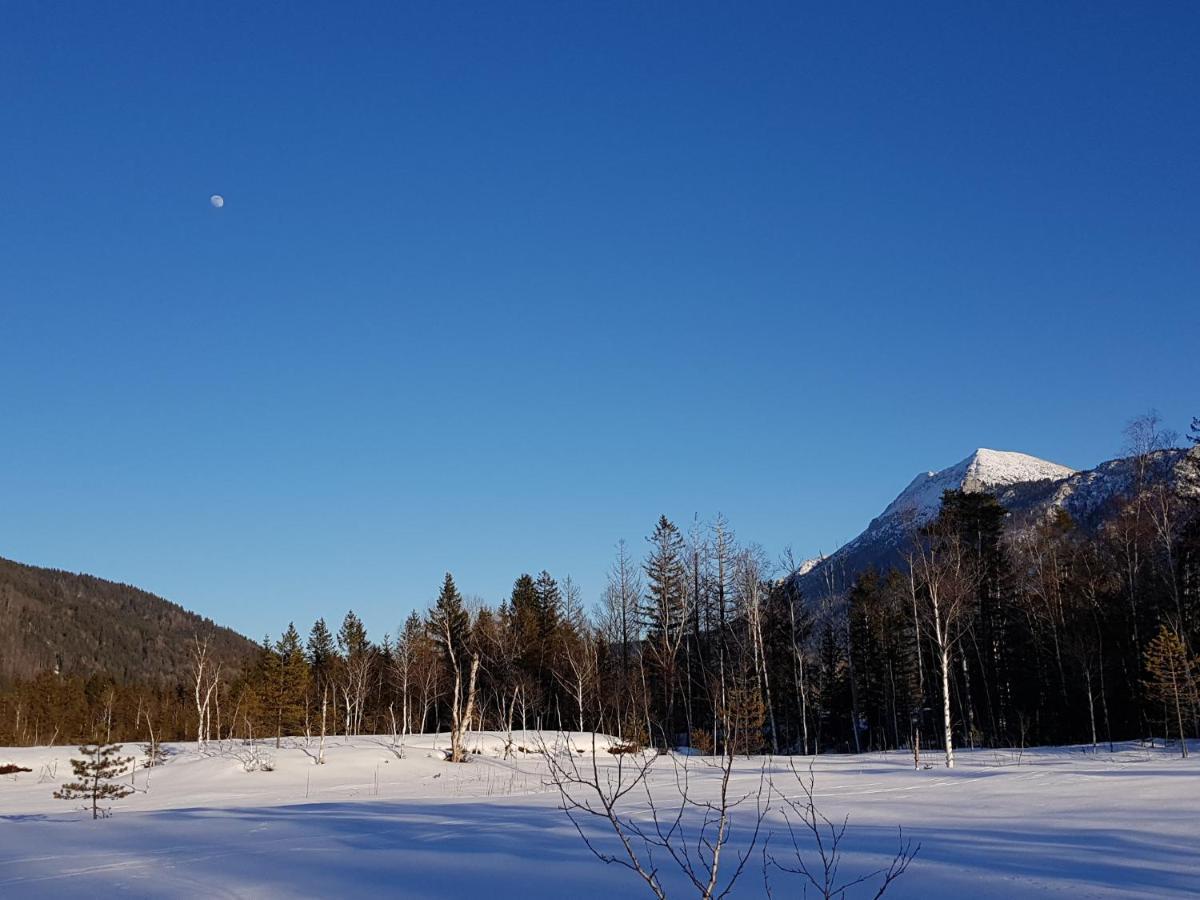Appartamento Zirbenstueberl - Chiemgau Karte Inzell Esterno foto